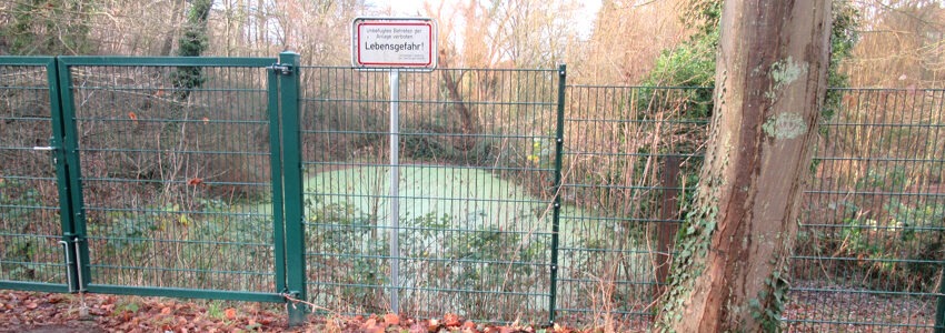 Teich am Graalwall: Klein, aber übelriechend. Foto: Hansestadt Lüneburg.