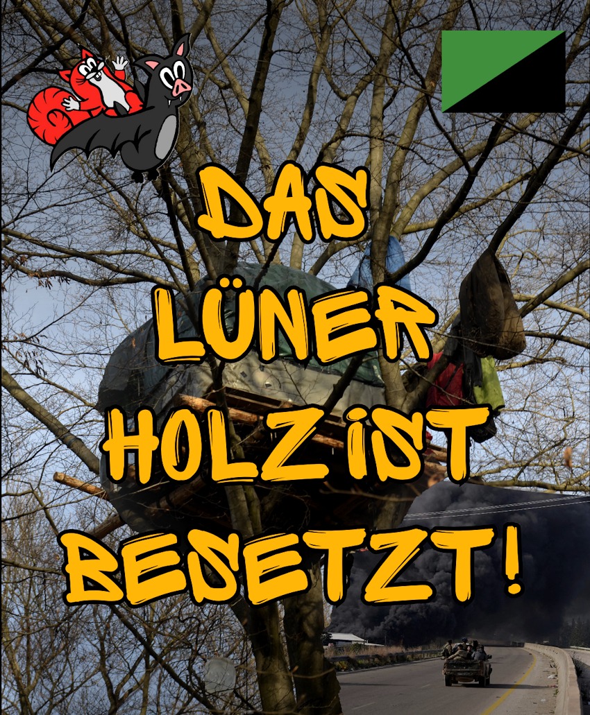 Foto: Aktionsgruppe Flederhörnchen. Besetzter Baum mit Plattform.