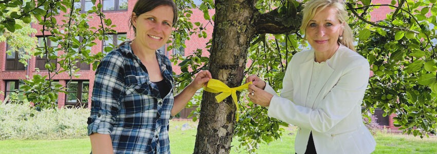 Foto: Landkreis Lüchow-Dannenberg. Selina Schmid, Landwirtschaftskoordinatorin und Landrätin Dagmar Schulz markieren einen Apfelbaum mit gelber Schleife.