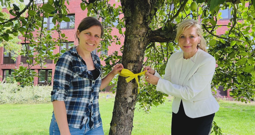 Foto: Landkreis Lüchow-Dannenberg. Selina Schmid, Landwirtschaftskoordinatorin und Landrätin Dagmar Schulz markieren einen Apfelbaum mit gelber Schleife.