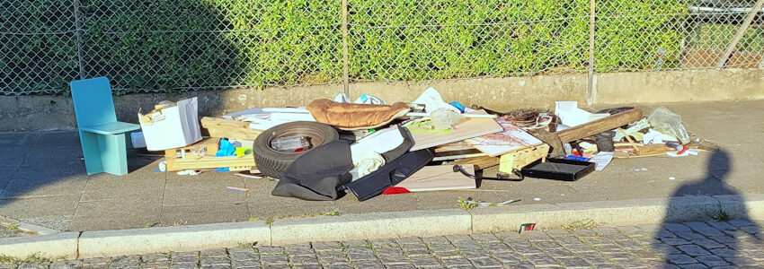 Foto: Hansestadt Lüneburg. Hinterlassenschaften an der Straße Hohe Luft bei der Bleckeder Landstraße.