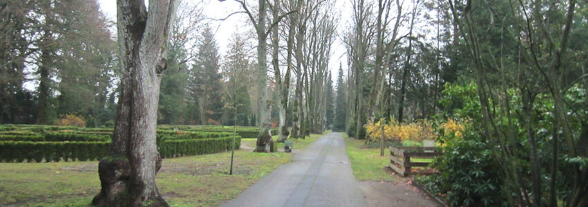 Foto: Lünepedia. Allee im Zentralfriedhof Lüneburg.