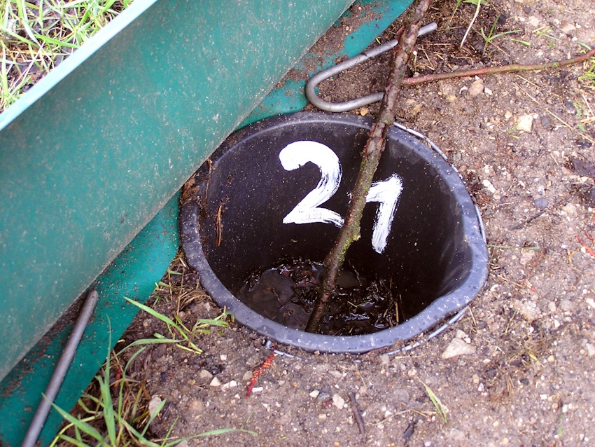 Foto: Masterraah. Sammeleimer außen am Krötenzaun. CC BY-SA 3.0, https://commons.wikimedia.org/w/index.php?curid=39229976