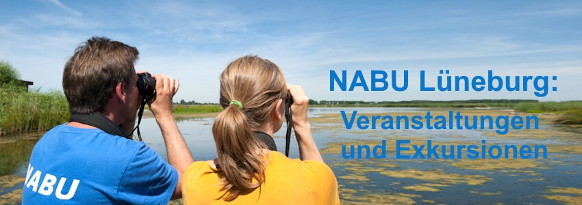 Foto: NABU Lüneburg. Birdwatch. Veranstaltungen und Exkursionen.