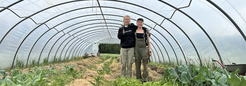 Foto: Solawi Ginsterbusch. Zwei zufriedene Gärtnerinnen vor dem Gemüse im Gewächshaus.