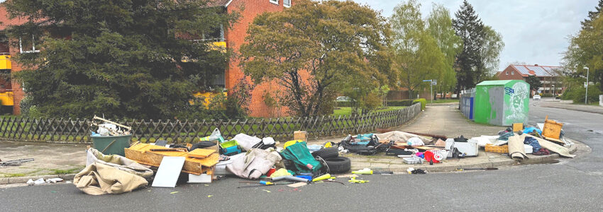 Foto: Hansestadt Lüneburg. Wilder Müll am Kreideberg.