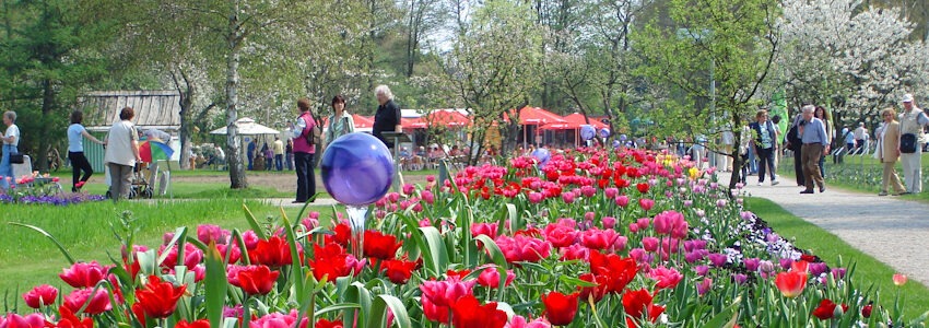 Foto: Stadt Winsen. Blütenpracht im Frühjahr in den Luhegärten.