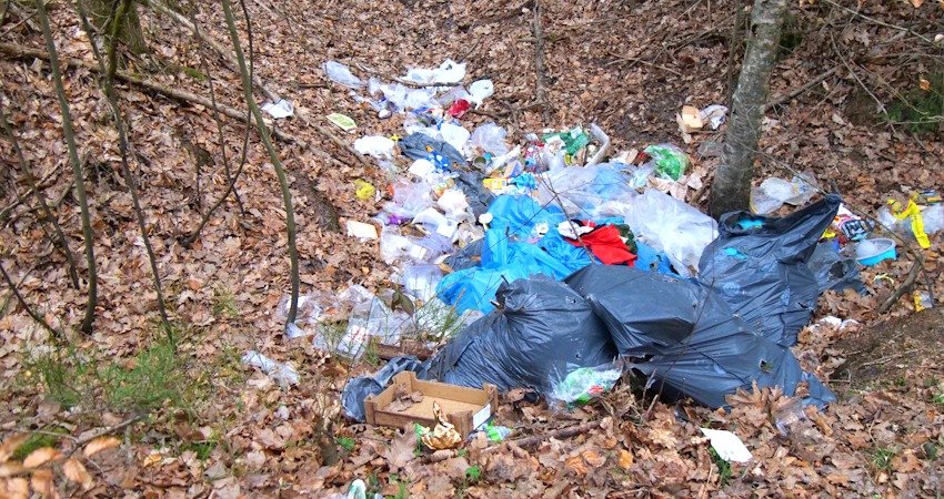 Foto: A. Gründel. Gleich an zwei Stellen im Wald waren Abfälle abgeladen worden.