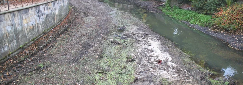 Foto: Hansestadt Lüneburg (Archiv). Die Ilmenau wurde 2017 zum letzten Mal abgelassen - hier bei der Ilmenaustraße. Im Flussbett bleibt durchgehend Restwasser, um während der Maßnahme Rückzugsorte für Lebewesen zu sichern.